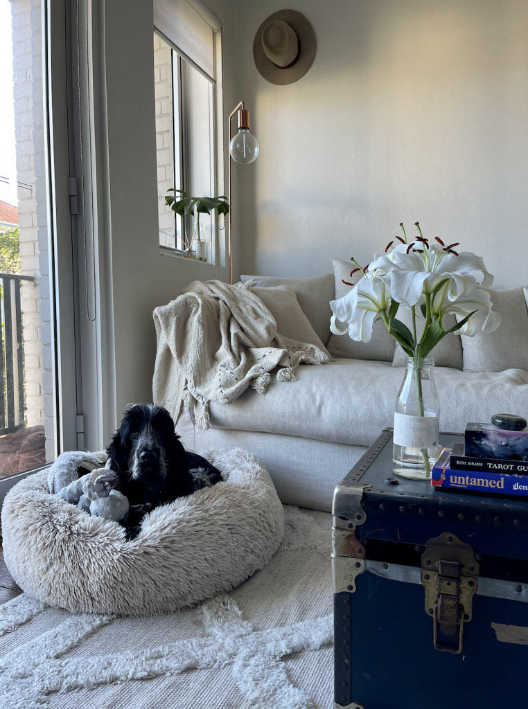 How To: Decorate a dog friendly & stylish home.